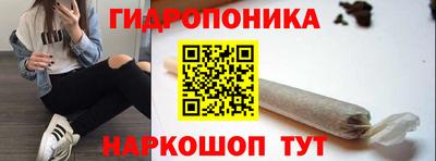 мдпв Можга
