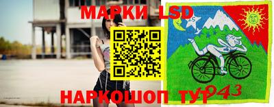 мдпв Можга