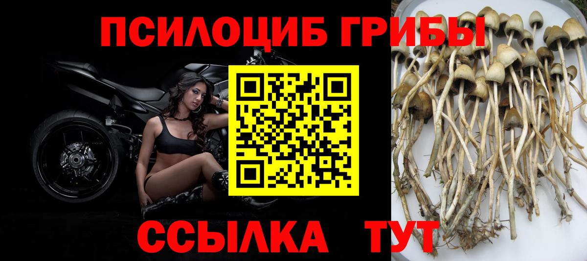 Галлюциногенные грибы мицелий  Вход с VPN  Галлюциногенные грибы Cubensis  Тосно 